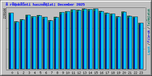 Óránkénti használat: December 2025